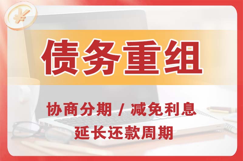 芜湖县债务重组