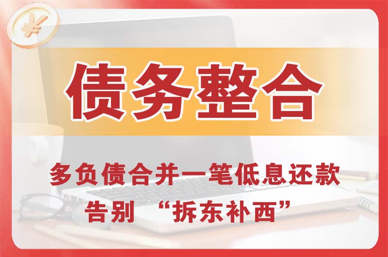 芜湖县债务整合