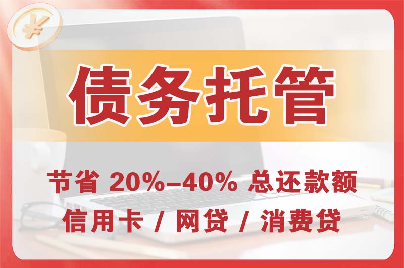 芜湖县债务托管